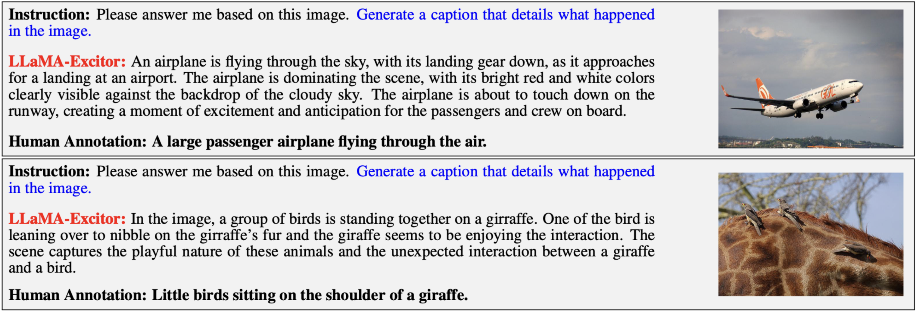 visual instruction-following